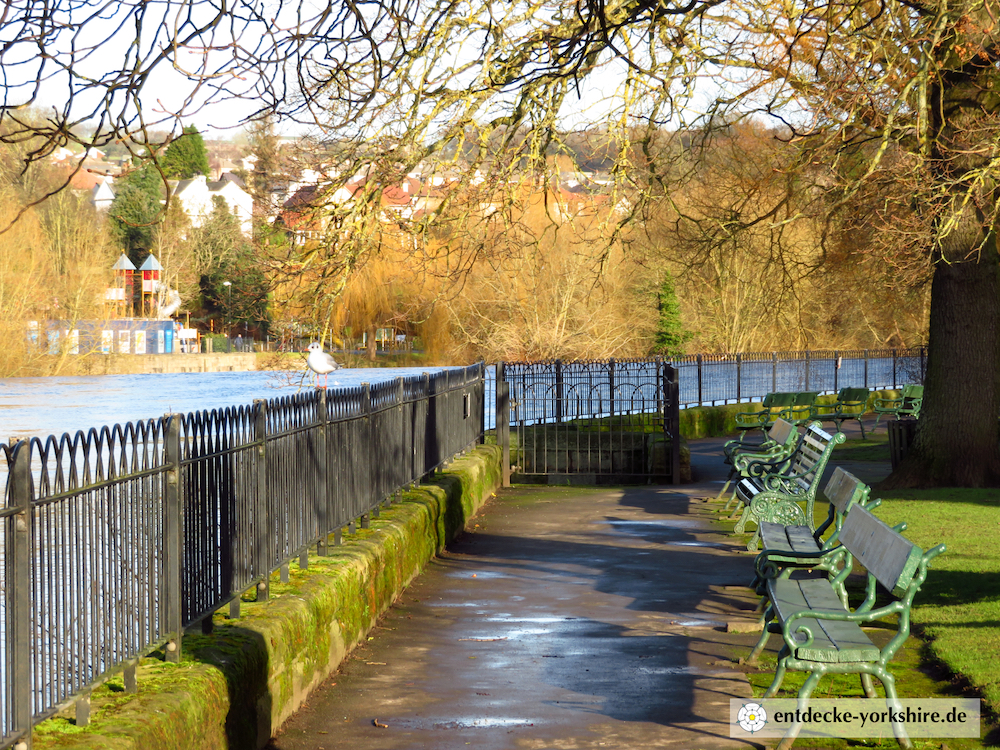 Tittybottle Park Otley