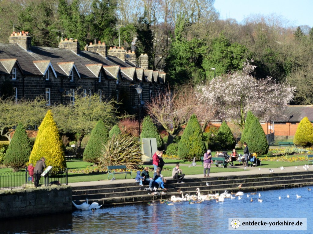Wharfemeadows Park Otley